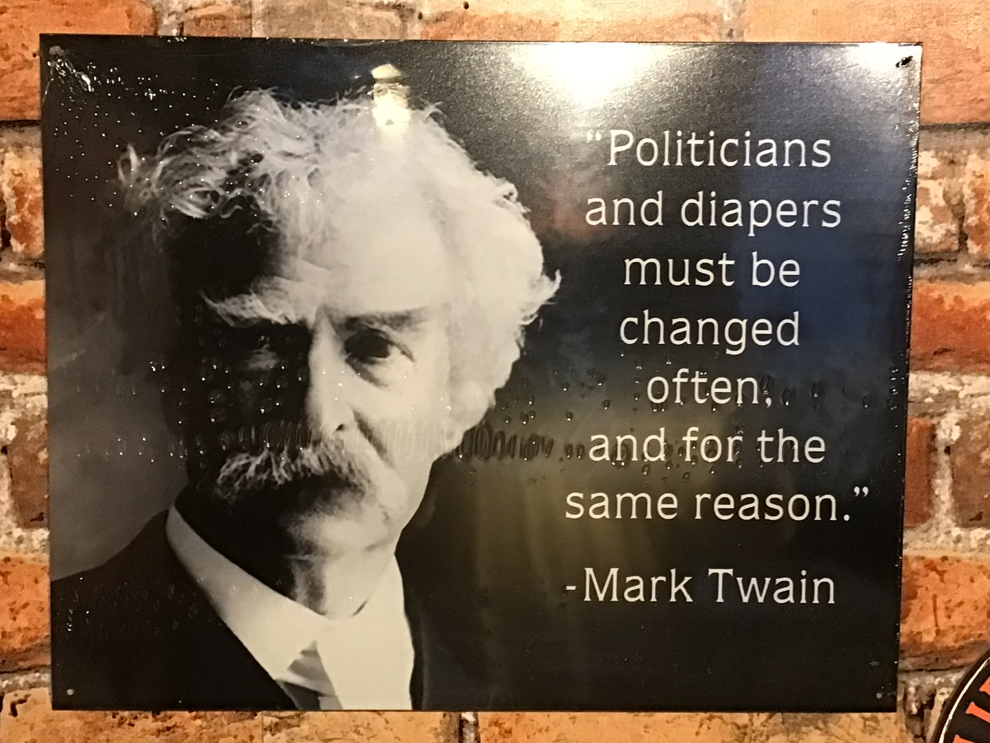 Large 16"x13" Patina Style Mark Twain Quote "Politicians and Diapers must be Changed "..