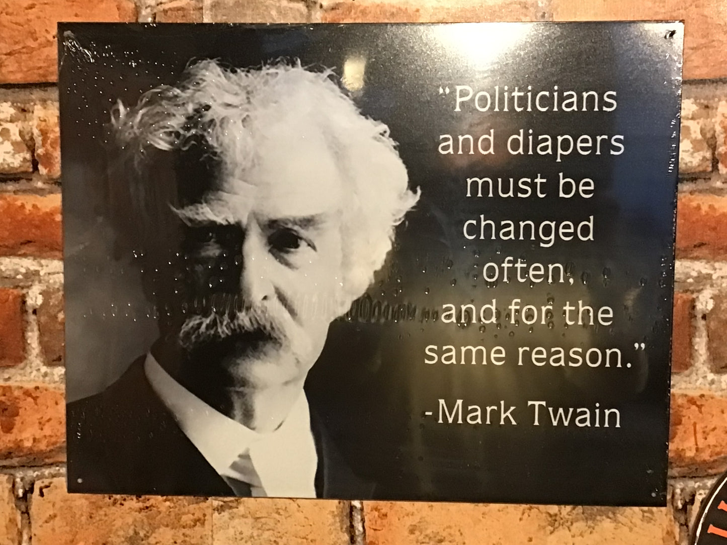 Large 16"x13" Patina Style Mark Twain Quote "Politicians and Diapers must be Changed "..