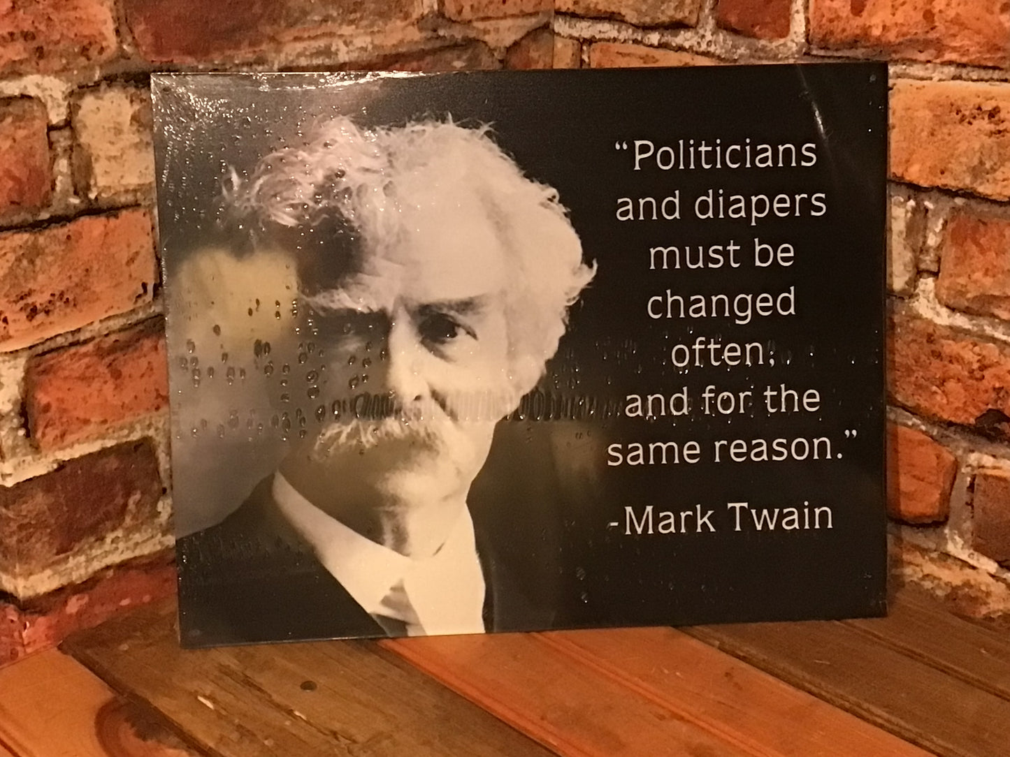 Large 16"x13" Patina Style Mark Twain Quote "Politicians and Diapers must be Changed "..