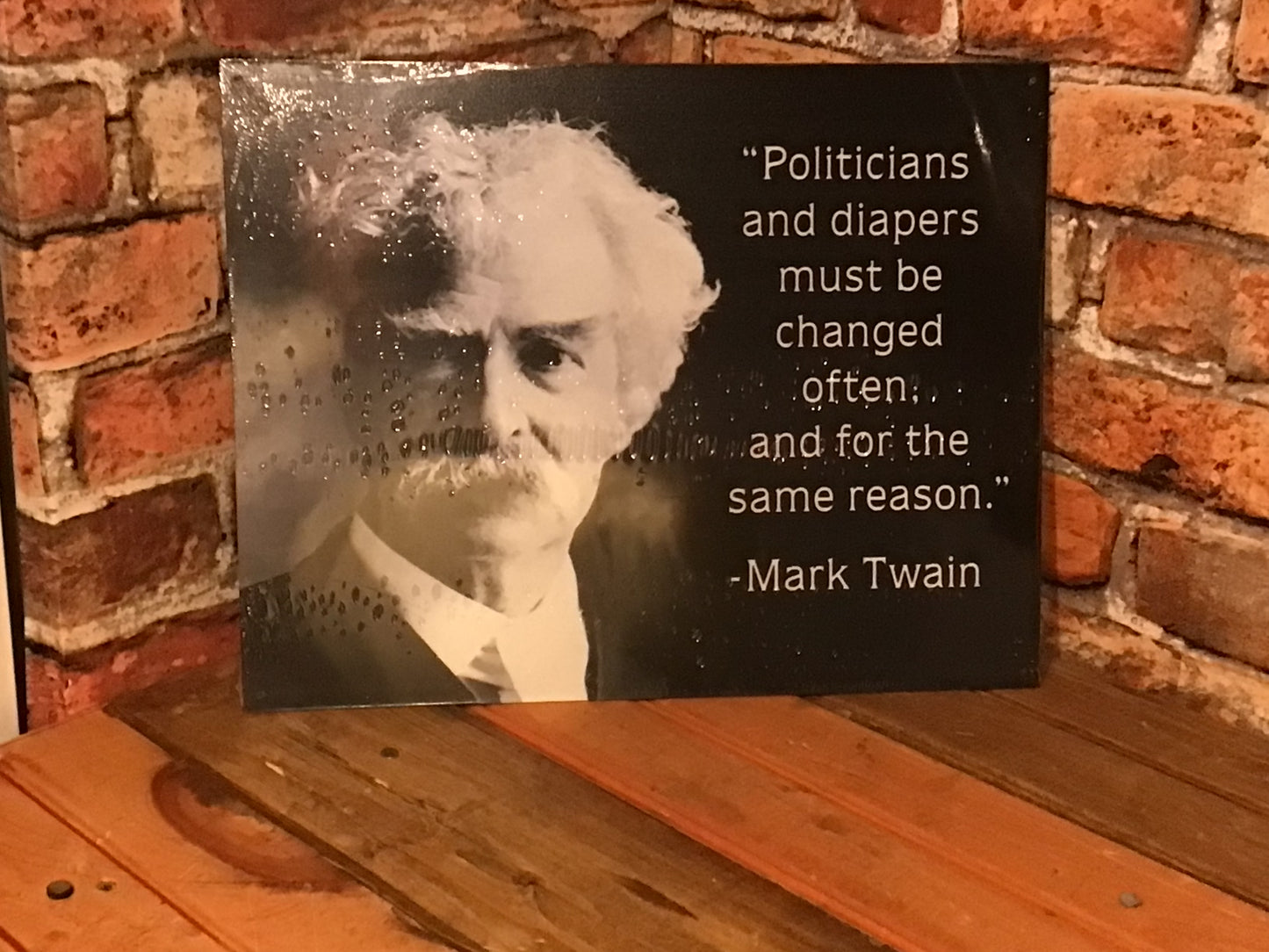 Large 16"x13" Patina Style Mark Twain Quote "Politicians and Diapers must be Changed "..