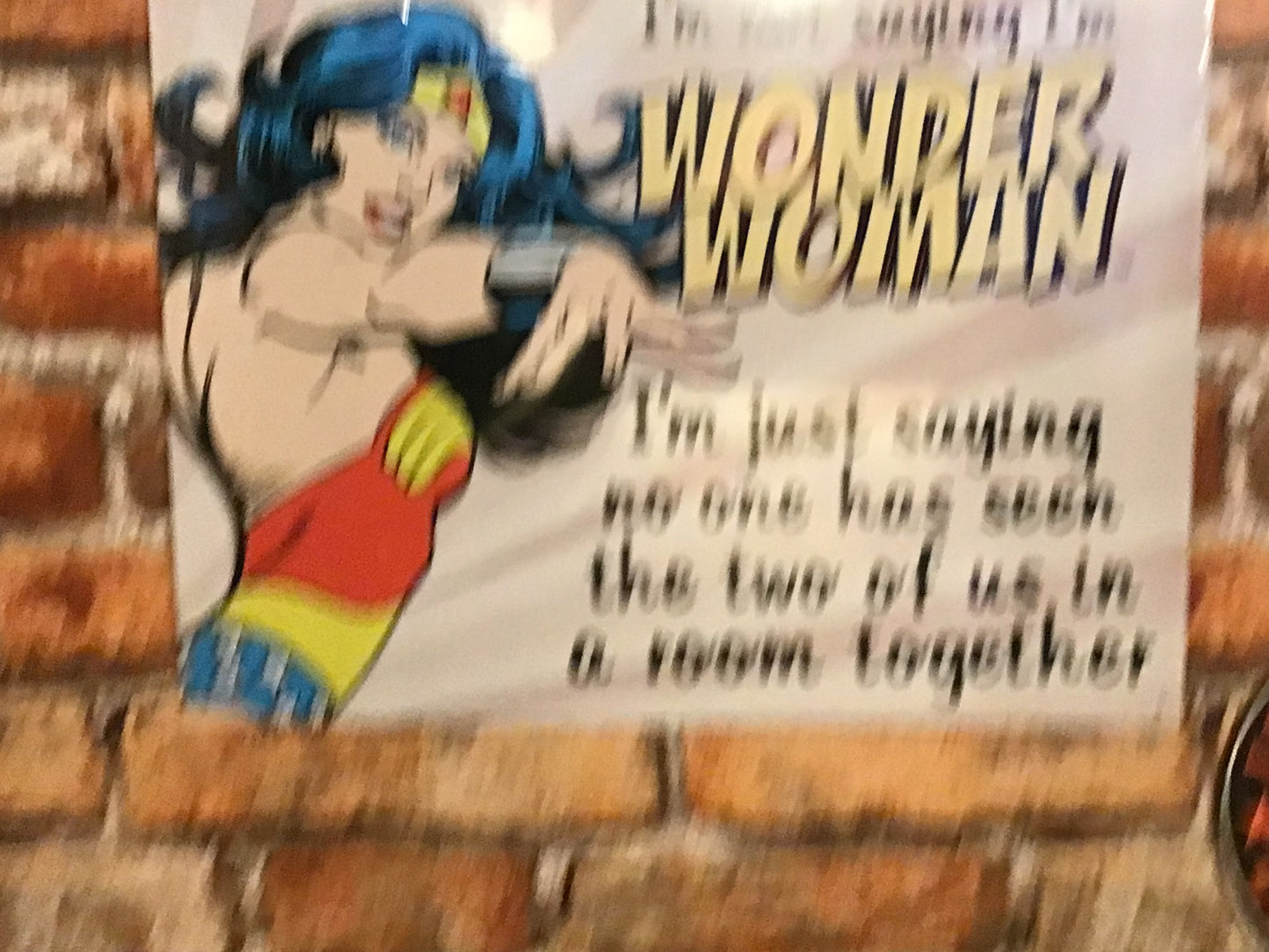 Large 16"x13" Vintage Style "I'm not saying I'm Wonder Women but..." Sign Gift!