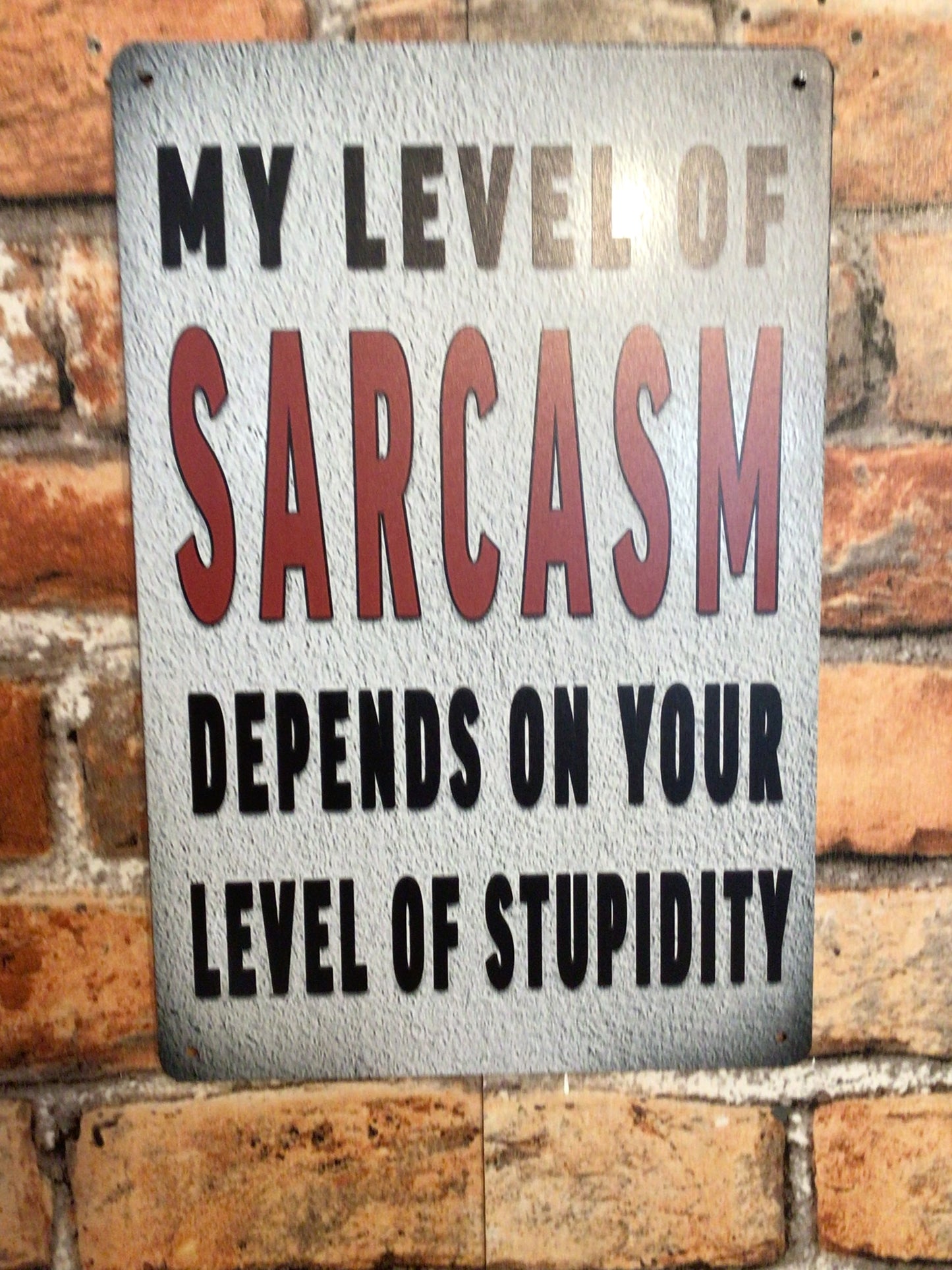 12"x8" "My Level of Sarcasm Depends on Your Level of Stupidity" Sign