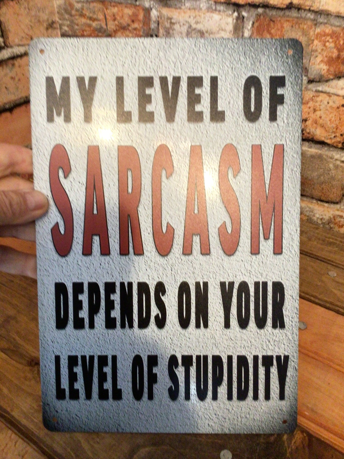 12"x8" "My Level of Sarcasm Depends on Your Level of Stupidity" Sign