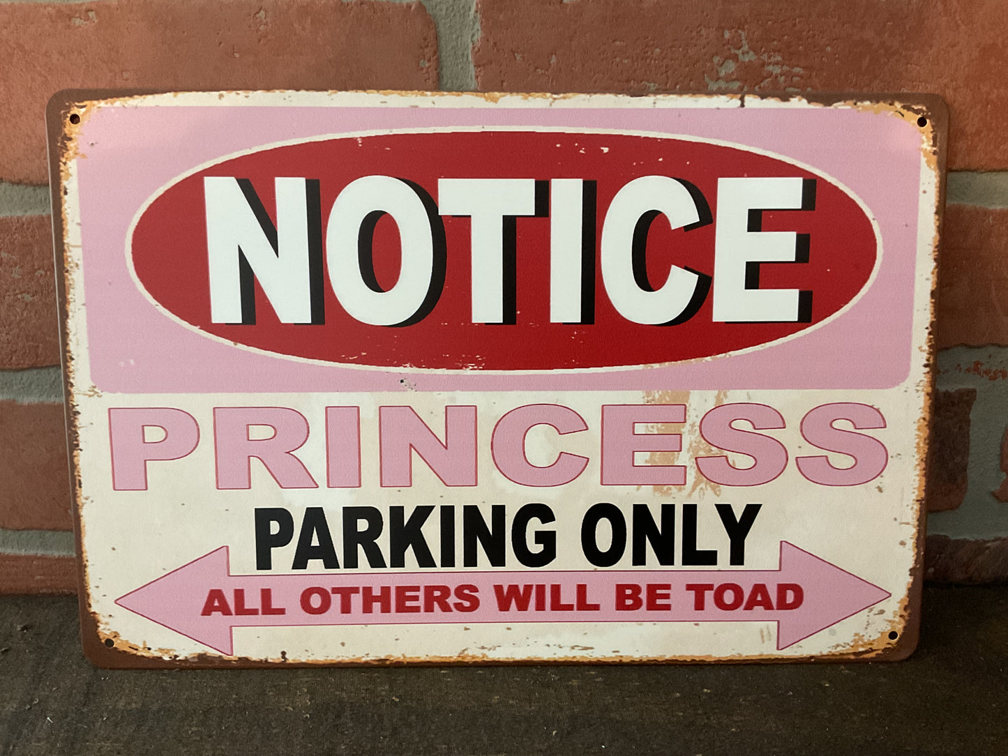 12"x8" Pink Two Tone "Princess Only Parking" Sign...Makes a Great Gift!