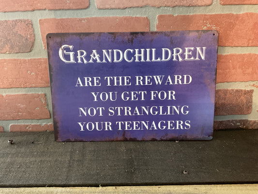 Vintage Patina Style 8x12 "Grandchildren are the reward for not strangling your Kids Sign.