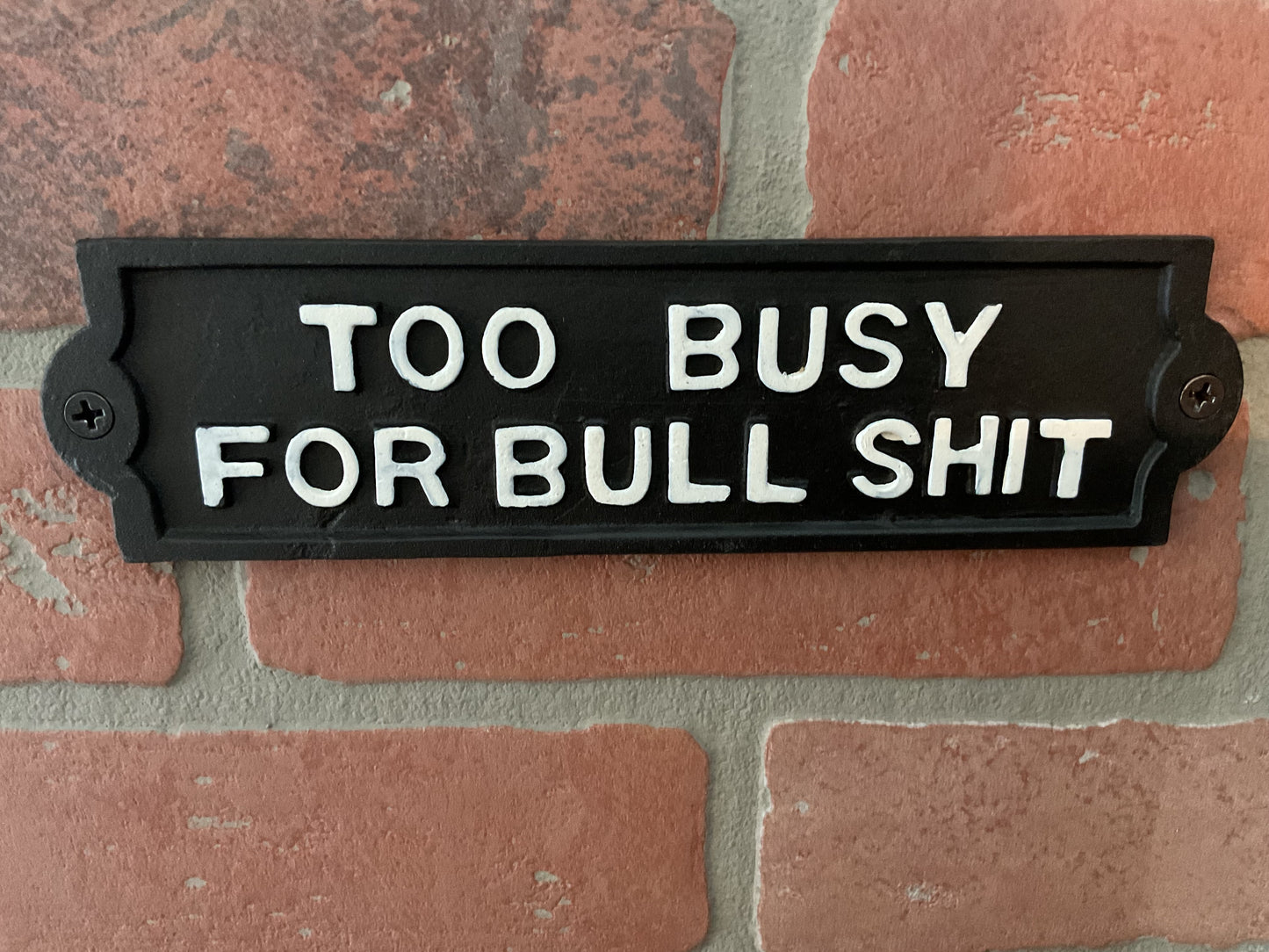 8"x2.25" Cast Iron "Too Busy for Bu#$it Sign. Makes a great Gift!