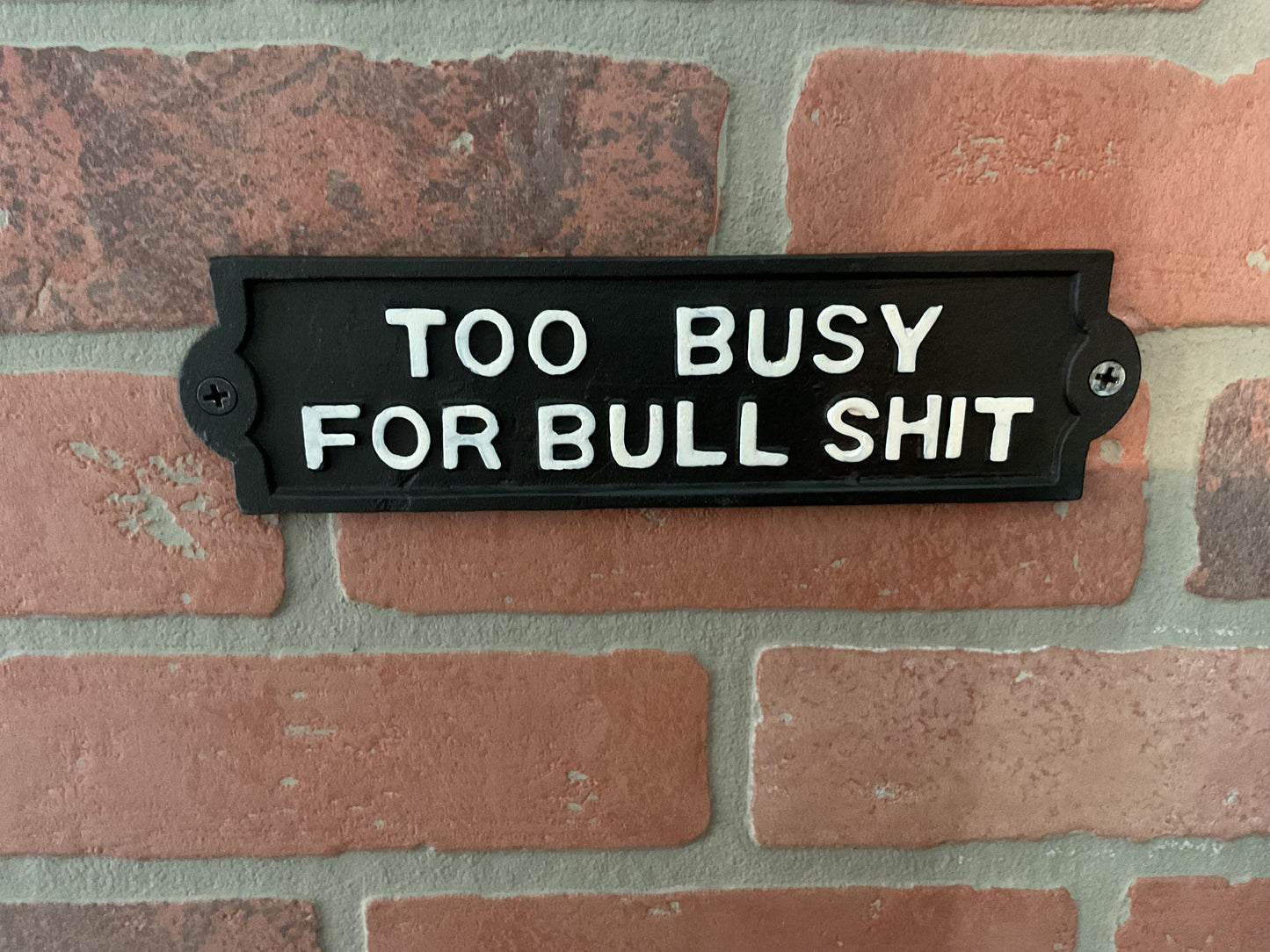 8"x2.25" Cast Iron "Too Busy for Bu#$it Sign. Makes a great Gift!