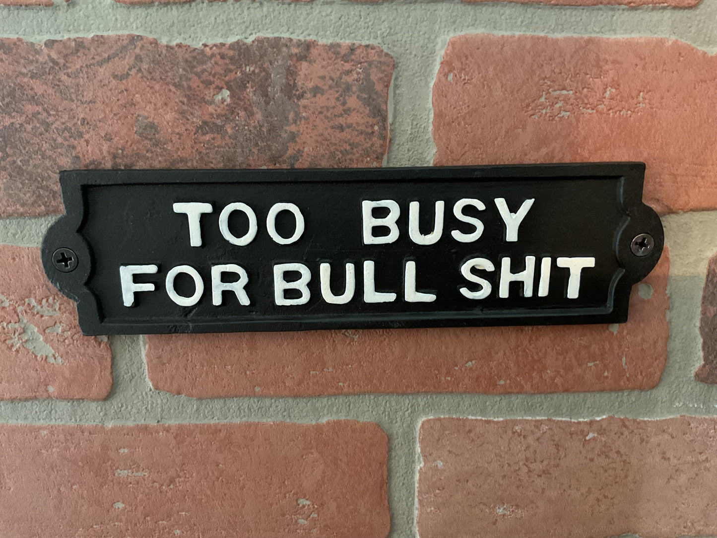 8"x2.25" Cast Iron "Too Busy for Bu#$it Sign. Makes a great Gift!