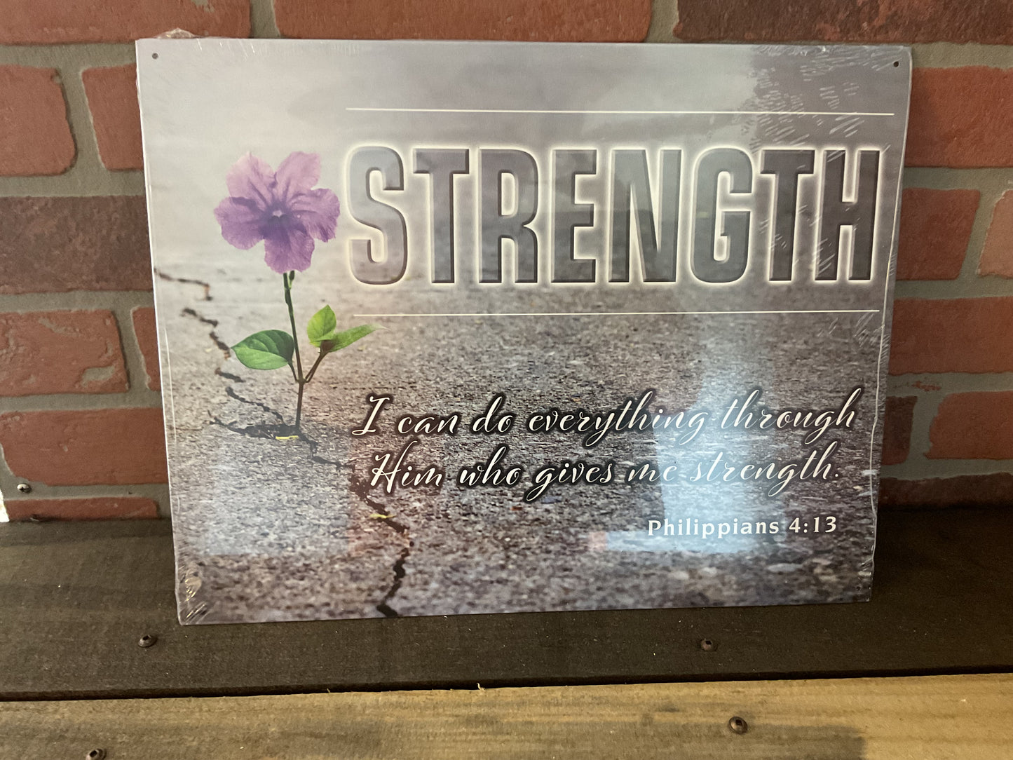 15.5 X12 "Strength, I Can Do Everything Through Him" She-Shed Sign