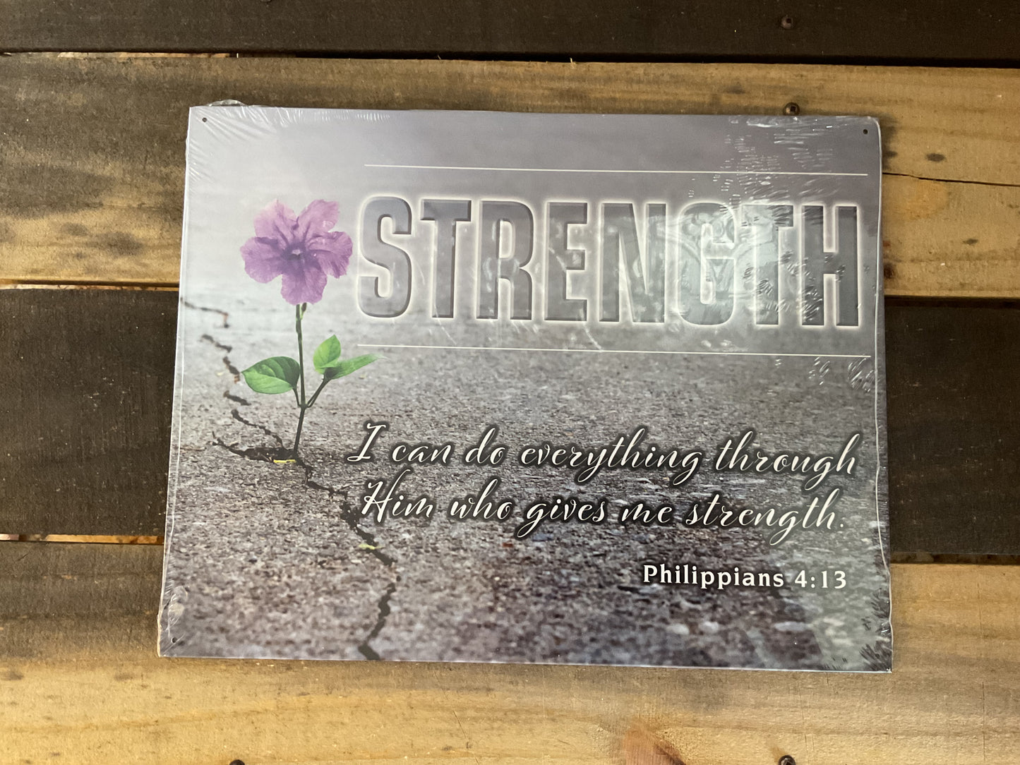 15.5 X12 "Strength, I Can Do Everything Through Him" She-Shed Sign