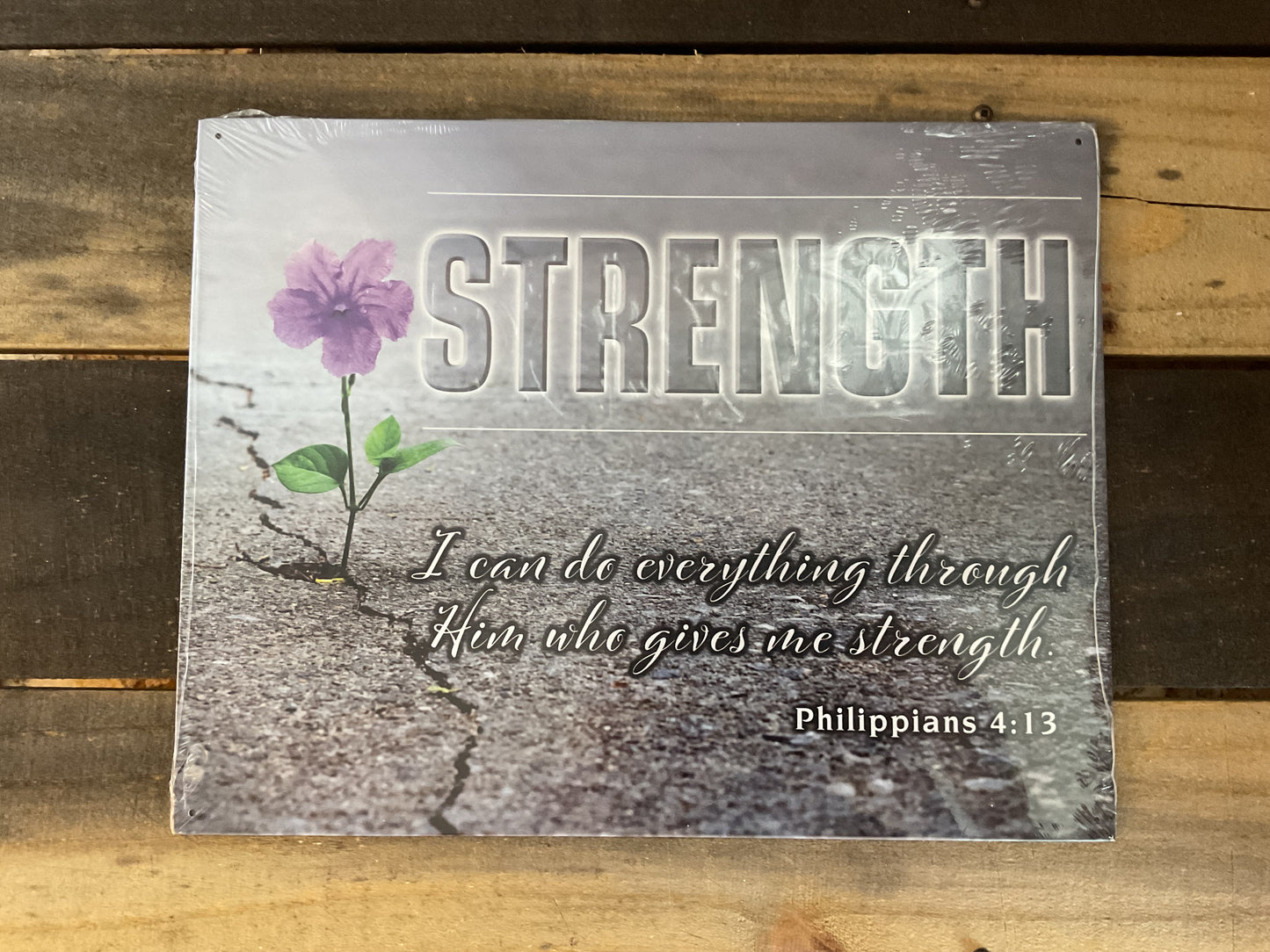 15.5 X12 "Strength, I Can Do Everything Through Him" She-Shed Sign