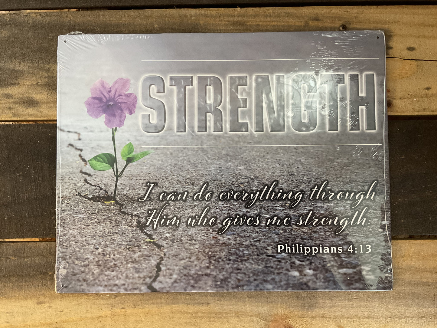 15.5 X12 "Strength, I Can Do Everything Through Him" She-Shed Sign